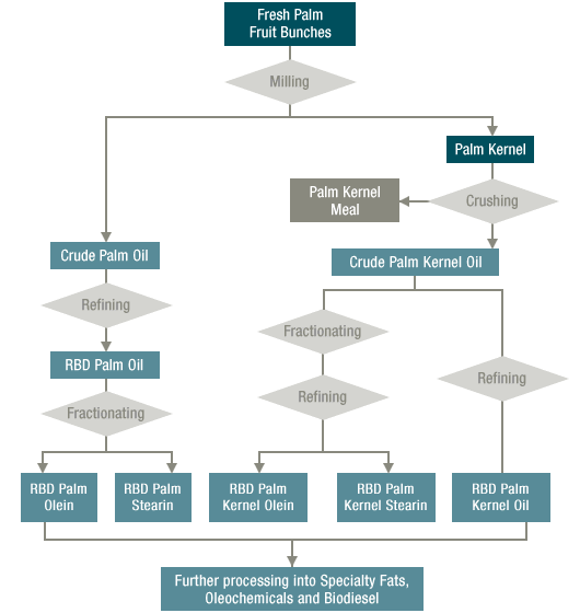 palm oil process